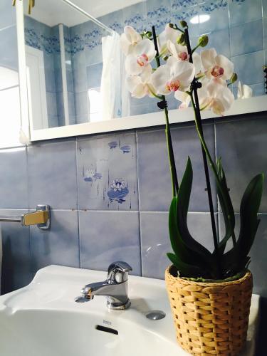 a bathroom sink with a vase of flowers on it at Axarquia Apartments in Nerja