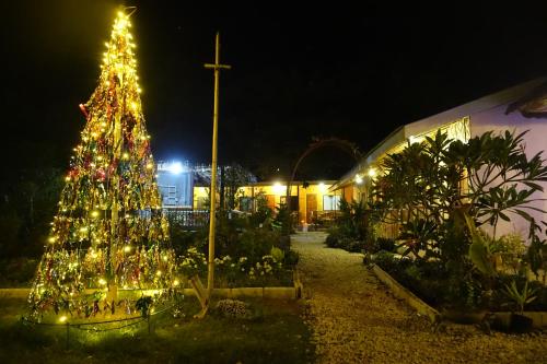 a christmas tree in front of a church at night at New Village Lodge in Oslob