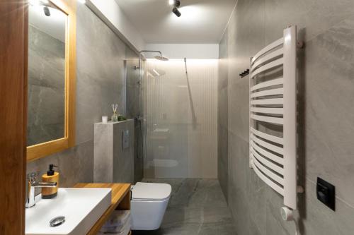 a bathroom with a toilet and a sink and a shower at Olesiówka in Nowy Targ