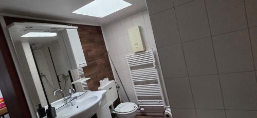 een badkamer met een wastafel, een toilet en een spiegel bij Berg Messe 1, w-lan, Homeoffice in Bergisch Gladbach