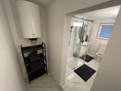 a bathroom with a walk in shower and a toilet at Second home apartment - silver in Kustići