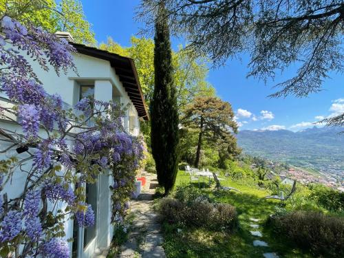 a house with purple flowers on the side of it at Lavaux Lodge - Romantic escape with magic views! in Chardonne