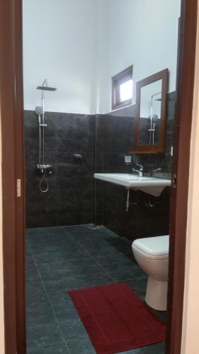 a bathroom with a toilet and a sink and a mirror at Green Luxe in Dambulla