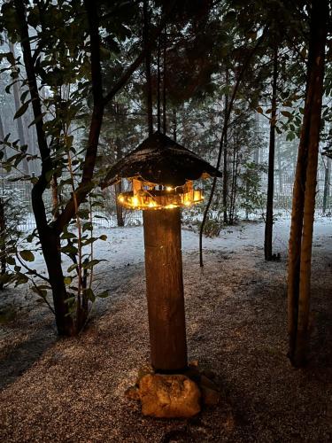 Billede fra billedgalleriet på Natur pur, Haus mit großen Garten am Wald i Langendorf