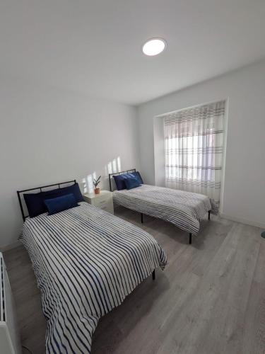 Spacious and bright downtown apartment in Bilbao