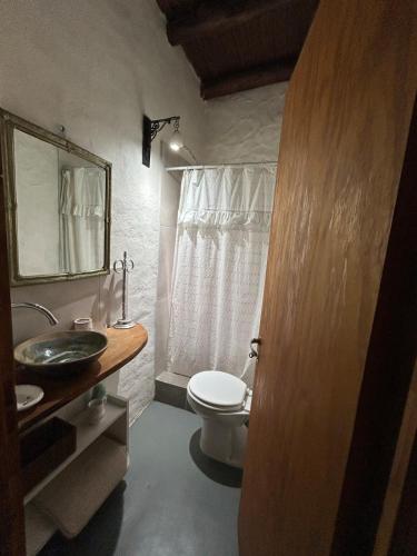 a bathroom with a toilet and a sink and a mirror at Iris,Tiny house en Las Calles, Traslasierra in Las Calles