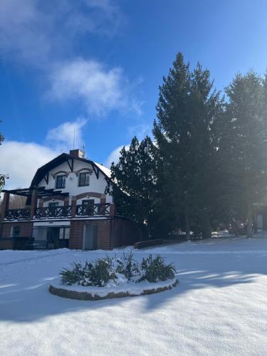 Dzikie Historie Młynik