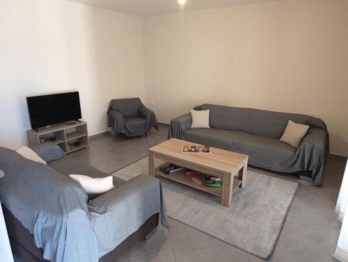 a living room with two couches and a tv at Konitsa Escape Apartment in Konitsa