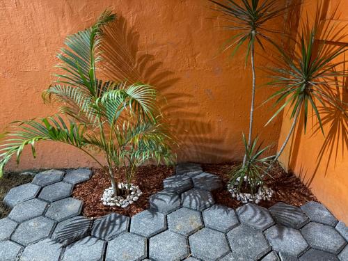 Ein Garten an der Unterkunft Casa en Coatzacoalcos