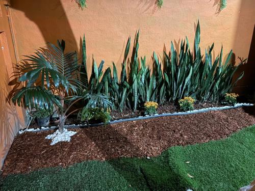 Ein Garten an der Unterkunft Casa en Coatzacoalcos