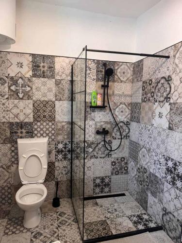 a bathroom with a toilet and a shower at Tri srca 2 - De Luxe 2 in Trebinje