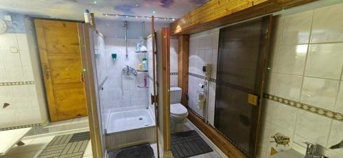 a bathroom with a shower and a toilet and a sink at Skiprivat in Ružomberok