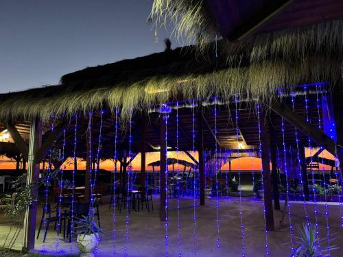 a straw hut with chairs and tables and blue lights at Sea View Wooden Houses in Lezhë