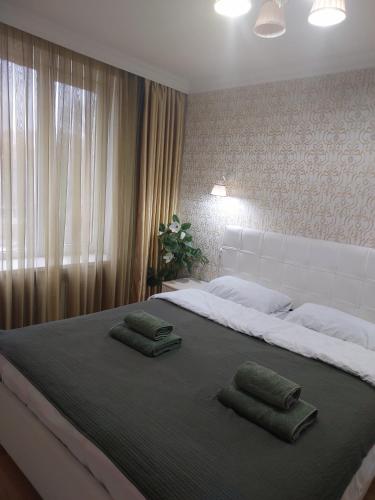 Apartament centru Negruzzi