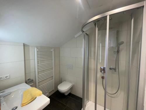 een badkamer met een douche, een toilet en een wastafel bij Hubertushof Ferienwohnungen in Gerlos