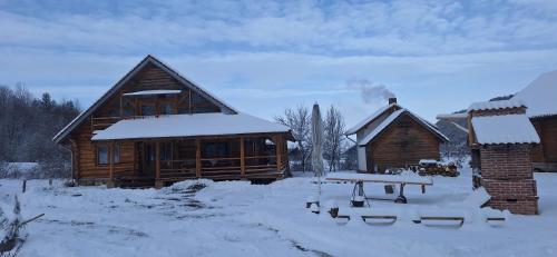 Farmhouse Rosehip Flower Romania Brasov om vinteren