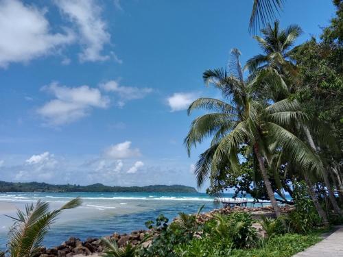 een strand met palmbomen en de oceaan bij My Home Koh Kood1 in Ko Kood