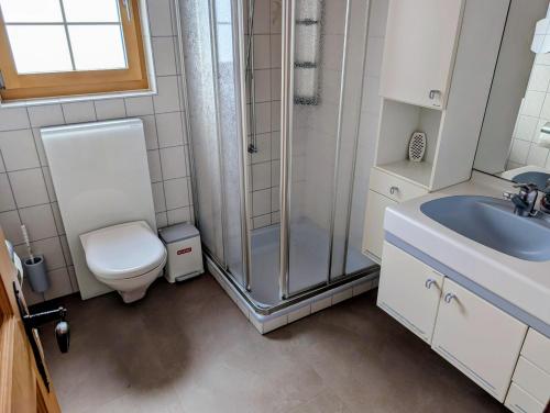 a bathroom with a shower and a toilet and a sink at Maisonette-Wohnung in Rueras bei Sedrun - 200m zum Bahnhof - Perfekt für Ski & Ausflüge in Rueras
