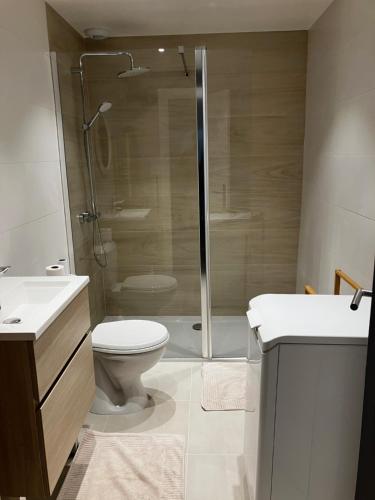 a bathroom with a shower and a toilet and sink at GÎTE GUIROYA in Saint-Jean-le-Vieux