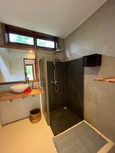 a bathroom with a shower with a sink and a mirror at Thelazycoco in Blue Bay