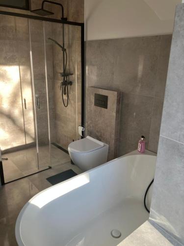 a bathroom with a bath tub and a toilet at U Mariki in Mikoszowa