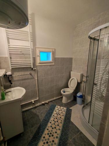 a bathroom with a shower and a toilet and a sink at Casa Bucovina Dorna Candrenilor in Ascuţitele