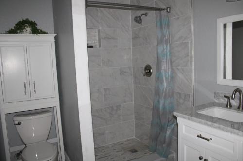 a bathroom with a shower with a toilet and a sink at Cottage & Garden in Jacksonville