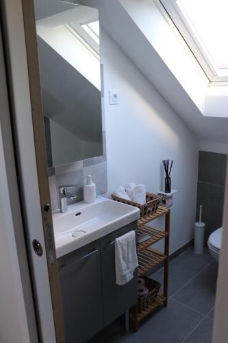 a bathroom with a sink and a mirror at Chambre Cosy Eaubonne in Eaubonne