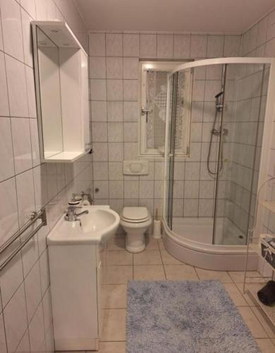 a bathroom with a toilet and a shower and a sink at Apartments Villa Granda Tolic in Biograd na Moru