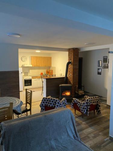 a living room with a kitchen and a fire place at Vila Panic in Pirot