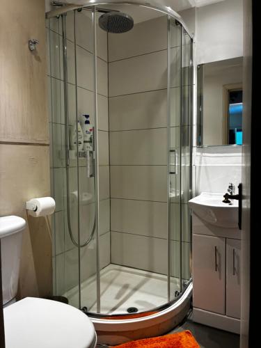 a shower in a bathroom with a toilet and a sink at The Cozy Nook in Hanwell