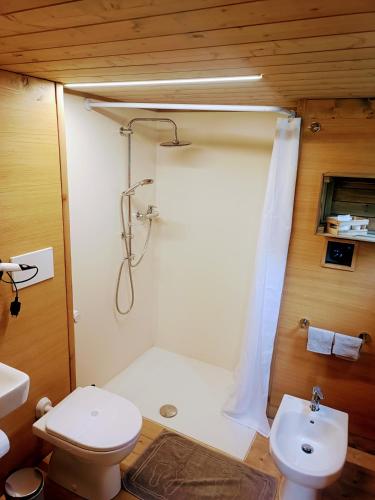 a bathroom with a toilet and a shower and a sink at Glamping Podere Poggiagrilli in San Gervasio