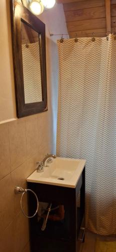 a bathroom with a sink and a mirror and a shower curtain at Patagonia Adriano in Caviahue