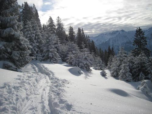 a snow covered slope with trees and tracks in the snow at Apart Lechtraum in Stanzach