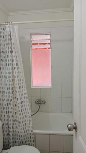 bagno con tenda per la doccia e finestra di Casa Amayita 2 a Puerto Varas