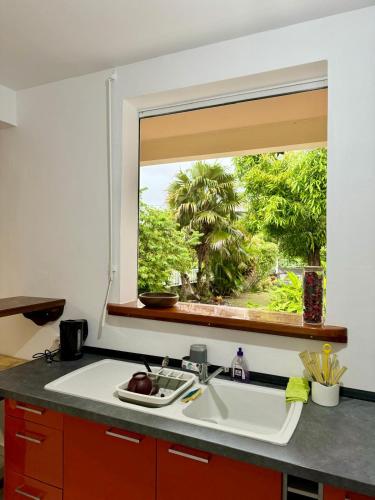 a kitchen with a sink and a window at Repaire des Alizés in Le Moule