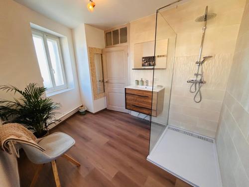 a bathroom with a shower and a sink at Gîte de l'auberge in Lupé