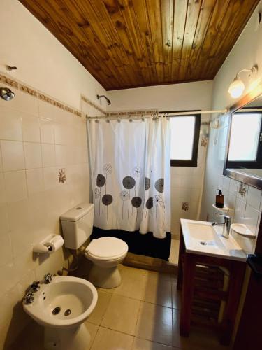 a bathroom with a toilet and a sink at Hostel Nakel Yenu in El Calafate