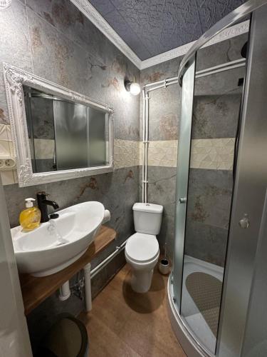een badkamer met een wastafel, een toilet en een douche bij Tolli Hostel & Holiday House in Valga