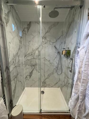 a shower with a glass door in a bathroom at Fullabrook Farm Retreat, The Shepherdess Hut in West Down