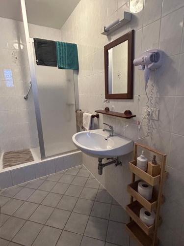 ein Badezimmer mit Waschbecken, Dusche und Spiegel in der Unterkunft Aux Deux Clefs in Petersbach