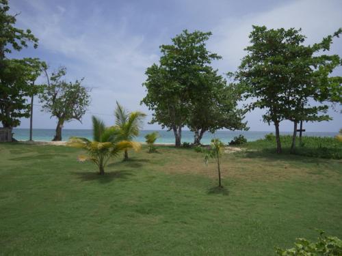 a field with trees and the ocean in the background at Ansells Thatch Walk Cottages in Negril