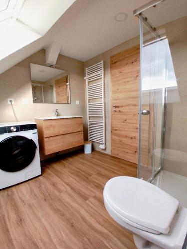 a bathroom with a shower and a toilet and a sink at La Grange de Pépé in Biltzheim