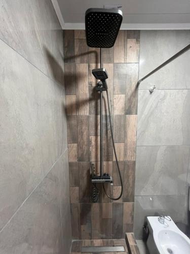a bathroom with a shower with a toilet and a sink at Rojavitiva in General Belgrano