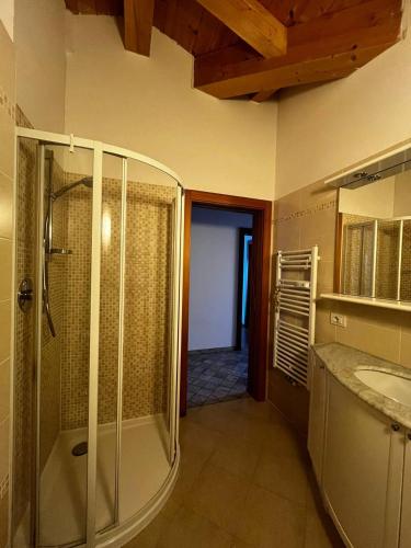 a bathroom with a glass shower and a sink at Cèsa Nicole e Patrick in Campitello di Fassa