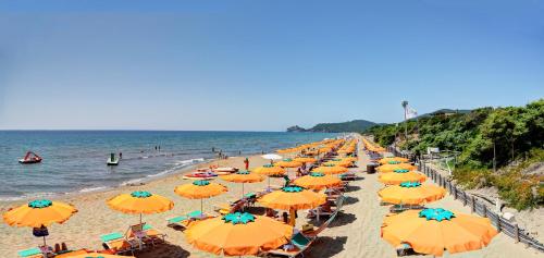 a long line of umbrellas on a beach at Camping Village Rocchette in Castiglione della Pescaia
