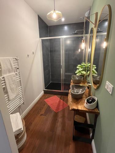 a bathroom with a shower and a table with a mirror at La Galupe in Mont-de-Marsan