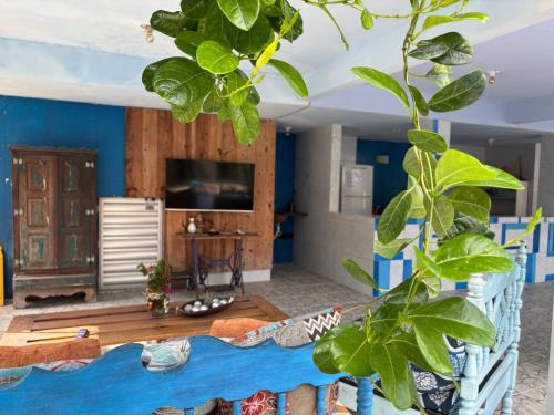 Køkken eller tekøkken på Falésias de Carapibus