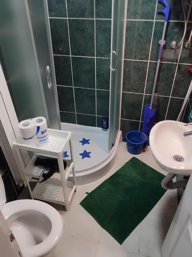 a bathroom with a shower and a toilet and a sink at Petra Kuća Apartmani Studio Divčibare Петра Кућа Апартмани Студио Дивчибаре in Divčibare