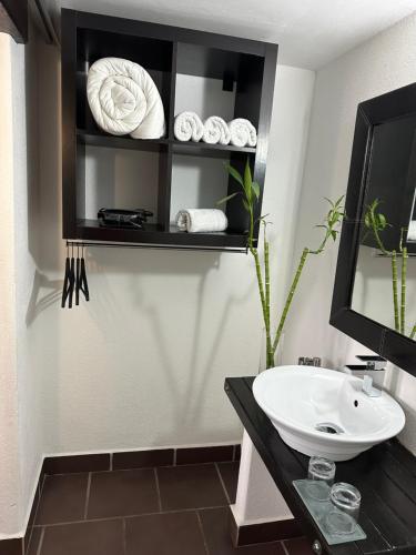 Ảnh trong thư viện ảnh của Le Sauvage ở Maguelonne-la-Sauvage